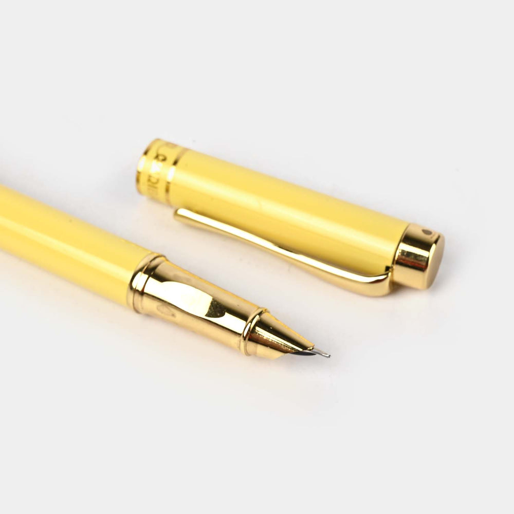 Fancy Fountain Ink Pen with Plastic Case
