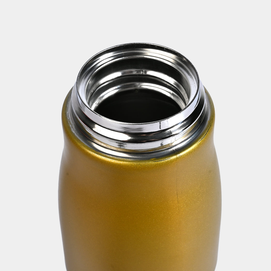 Water Bottle Stainless Steel | 550Ml