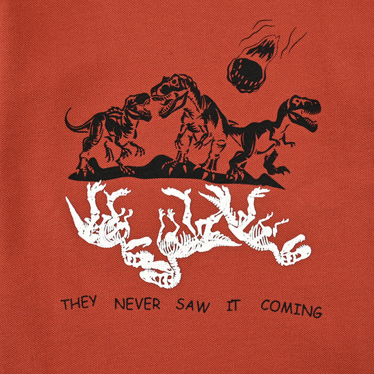 Boys Jumbo Pique T-Shirt H/S Dinosaur - Burnt Orange