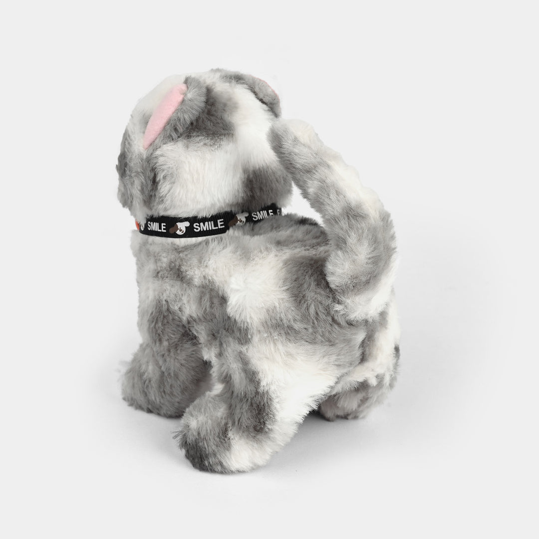 Sound Music & Walking Cat for Kids