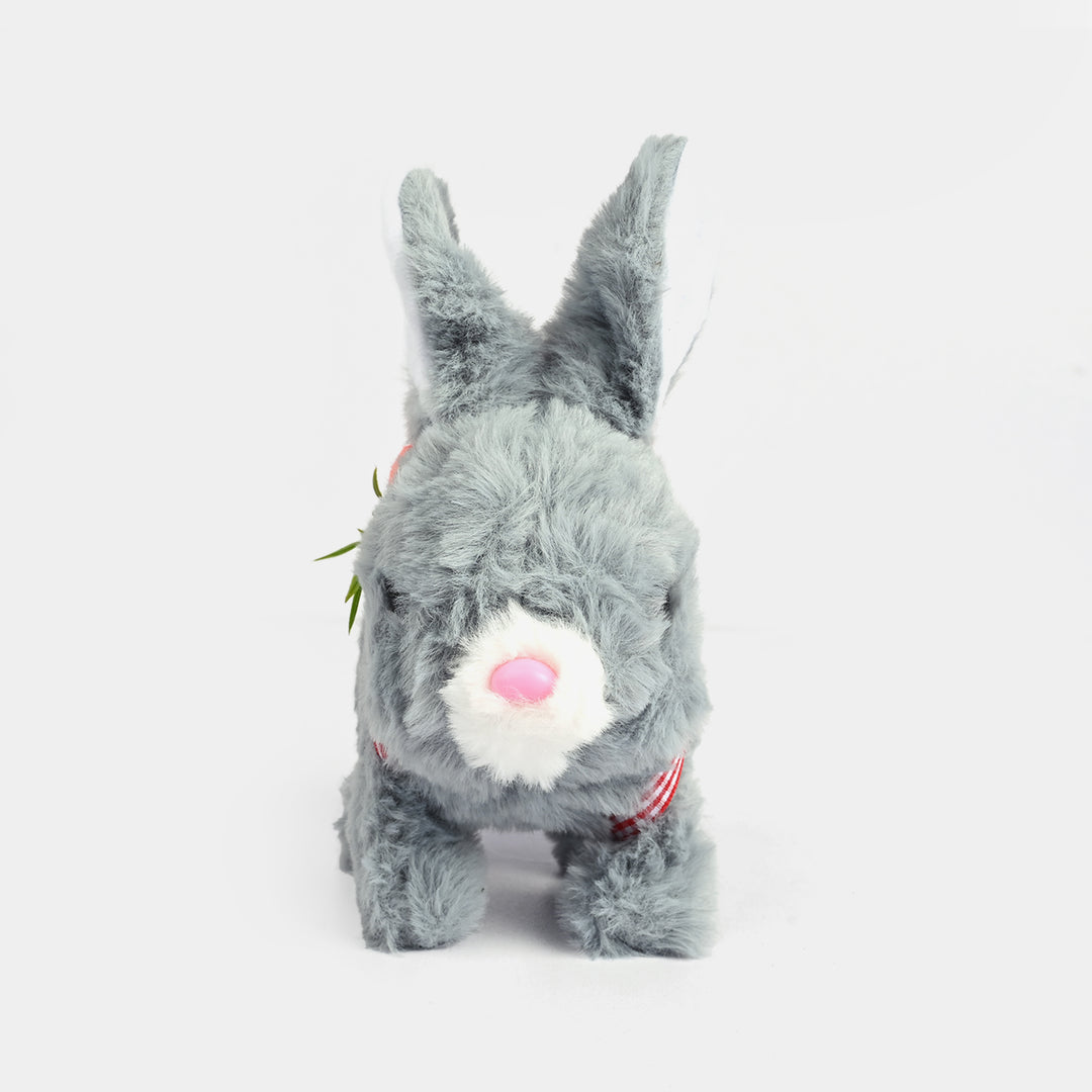 Sound Music & Walking Bunny for Kids