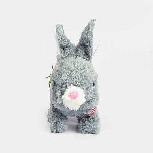 Sound Music & Walking Bunny for Kids