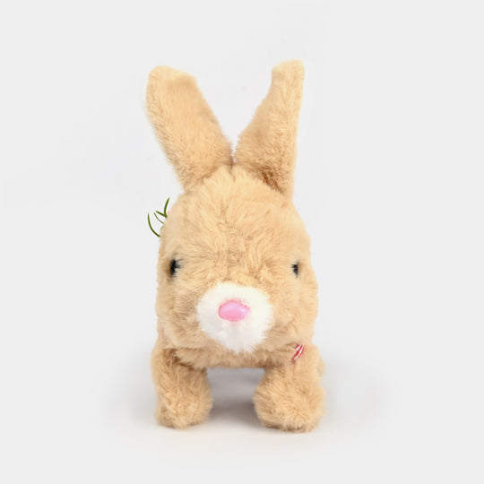 Sound Music & Walking Bunny for Kids