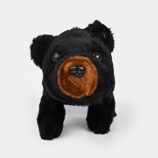 Sound Music & Walking Bear for Kids
