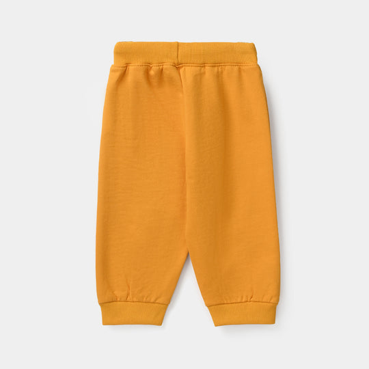 Infant Boys Jersey/Terry Pyjama (Dino World) - Sunflower