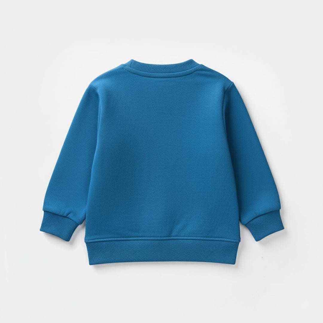 Infant Boys Jersey/Terry Sweatshirt - Blue