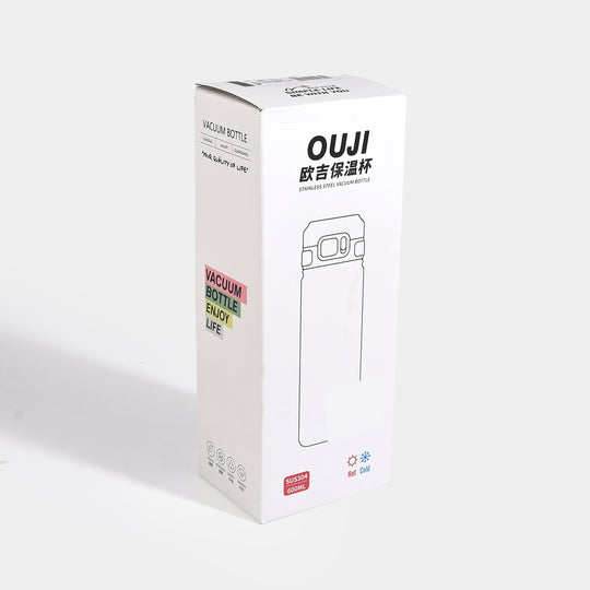 WATER BOTTLE STAINLESS STEEL | 650ml