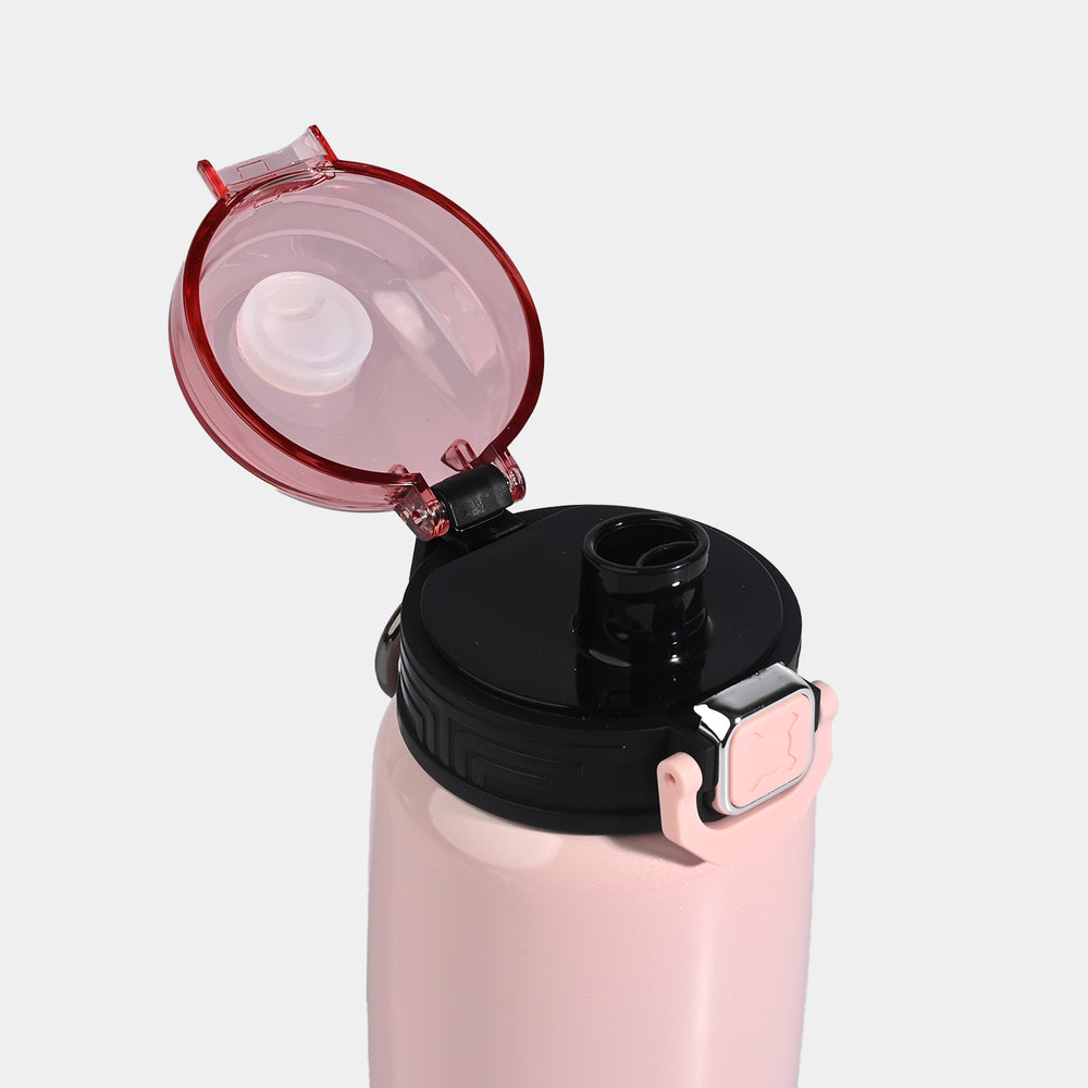WATER BOTTLE STAINLESS STEEL | 550ml