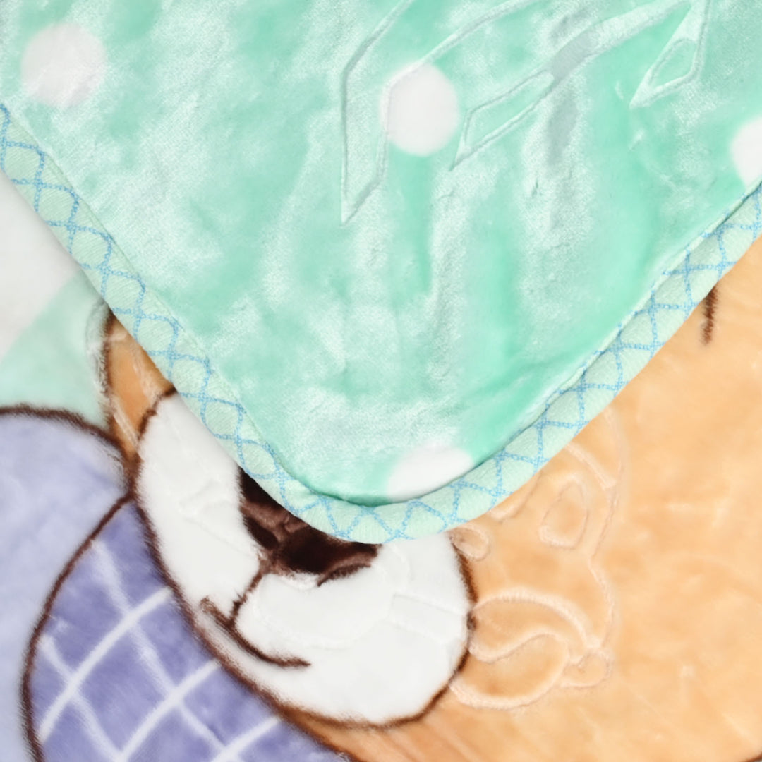 BABY PLUSH BLANKET 1437 GREEN