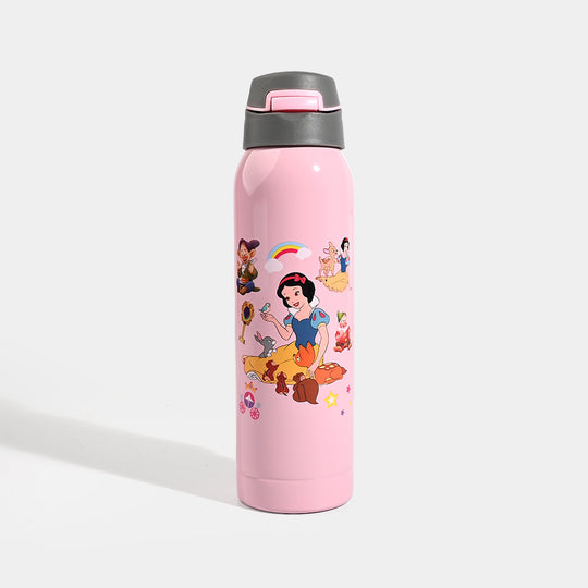 Water Bottle Steel | 500ML