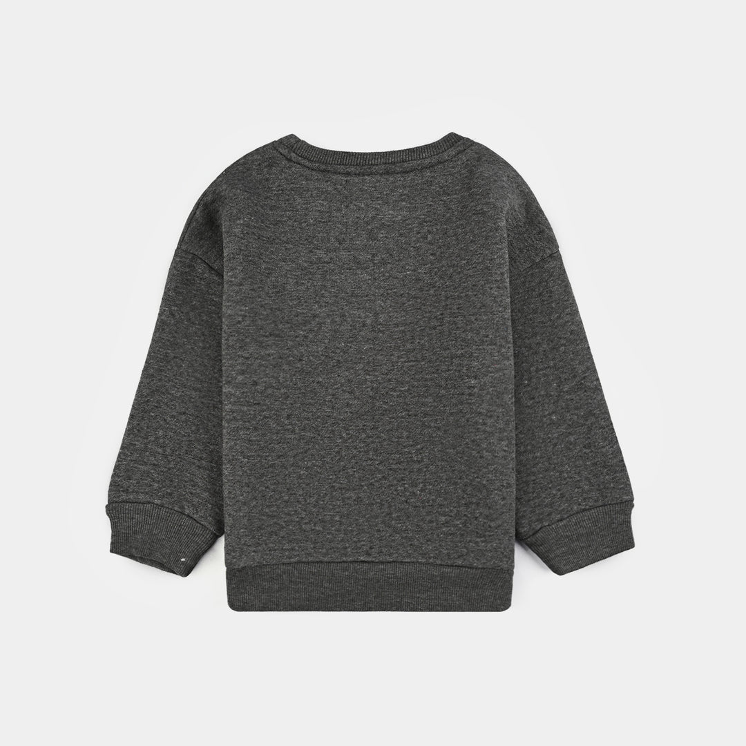 Infant Boys Fleece Sweatshirt TIGER FACE-GREY