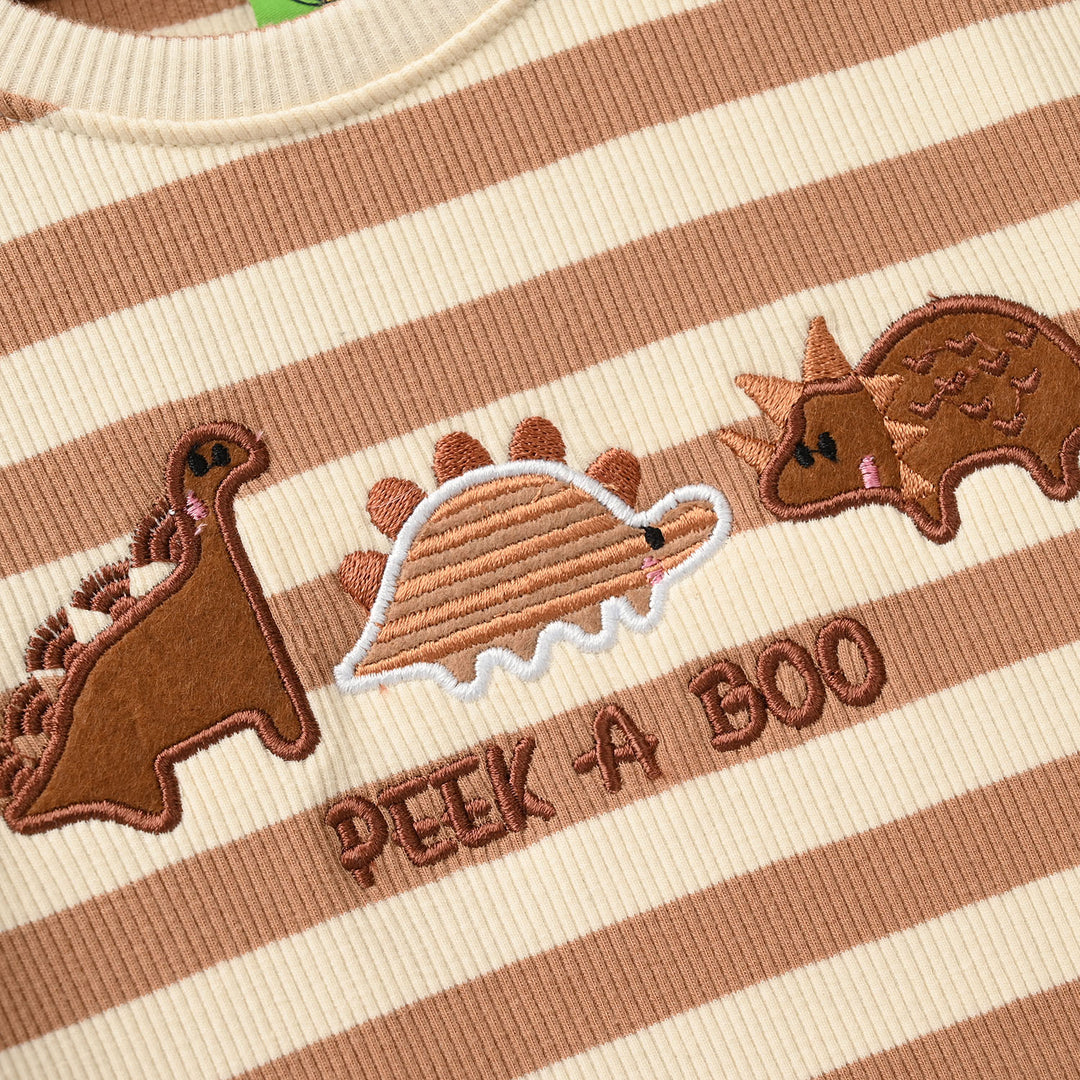 Infant Boys Rib Knitted Suit - Brown