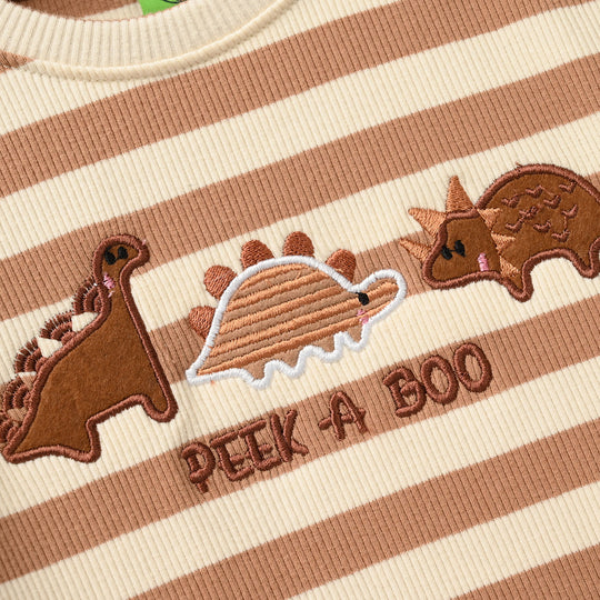 Infant Boys Rib Knitted Suit - Brown