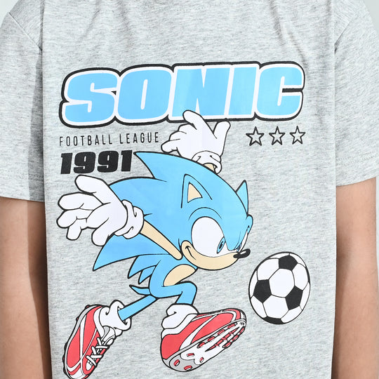 Boys PC Jersey Night Suit Character - Grey