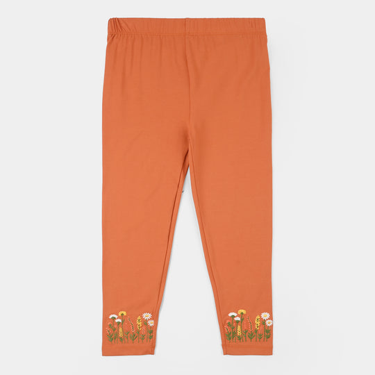 Girls Lycra Jersey Embroidered Tights (Gardenia) - Brown