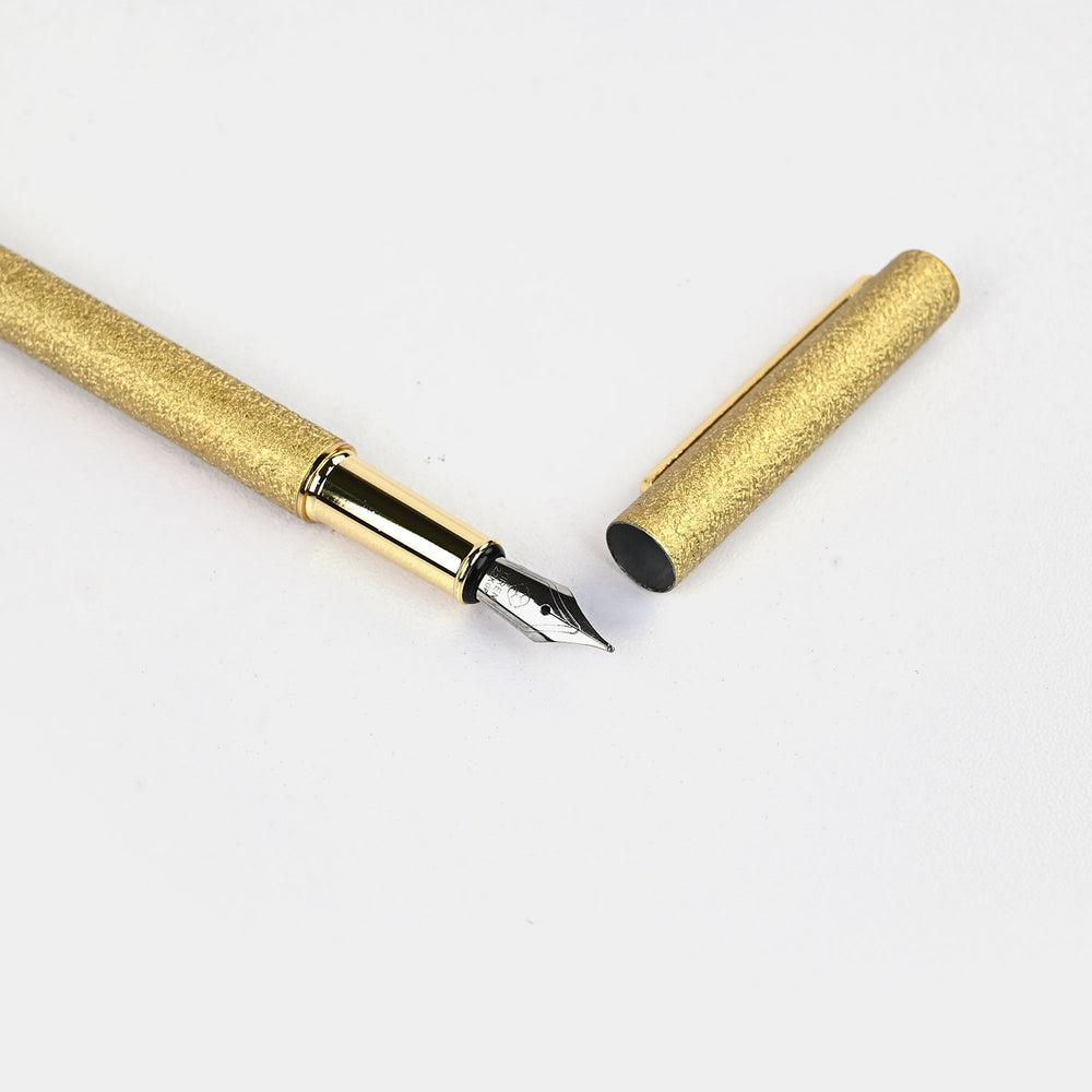 Fancy Ink Pen with Plastic Case