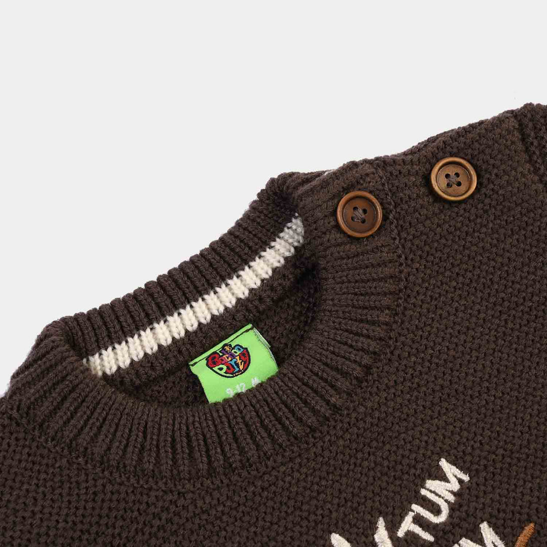 Infant Boys Sweater-Tum Tum-BROWN
