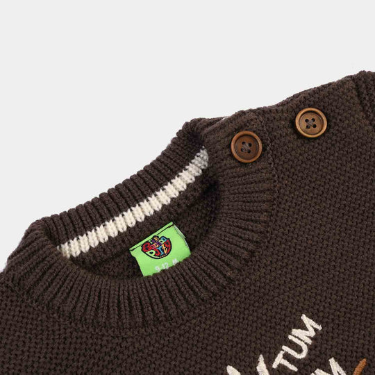 Infant Boys Sweater-Tum Tum-BROWN