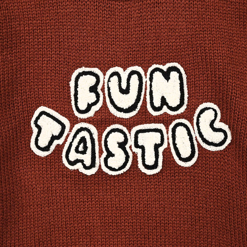 Infant Boys Acrylic Sweater-Funtastic-Reddish-brown