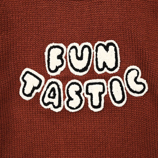 Infant Boys Acrylic Sweater-Funtastic-Reddish-brown