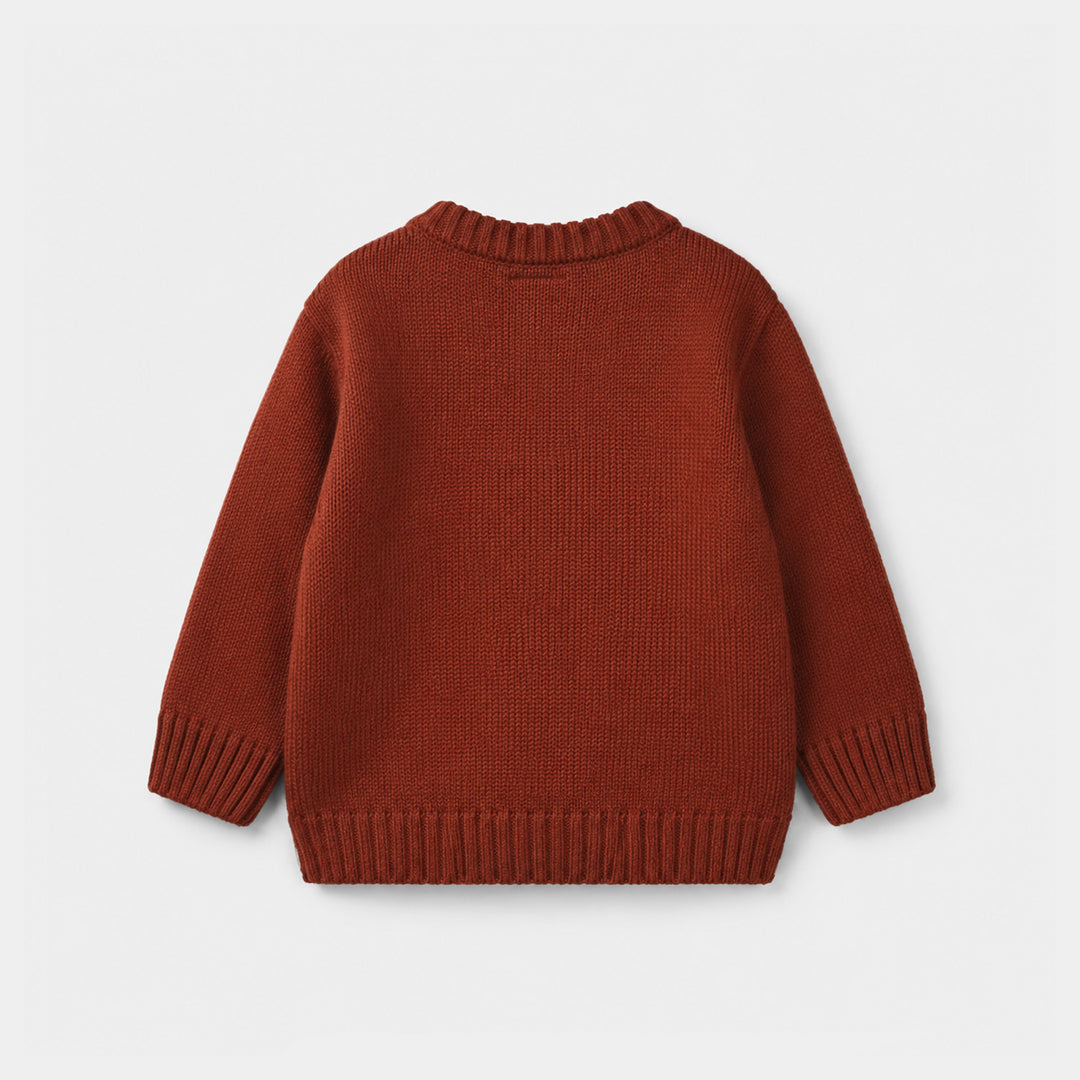 Infant Boys Acrylic Sweater - Funtastic - Reddish - Brown