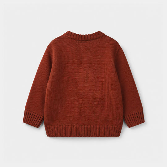 Infant Boys Acrylic Sweater - Funtastic - Reddish - Brown