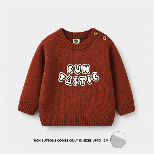 Infant Boys Acrylic Sweater - Funtastic - Reddish - Brown