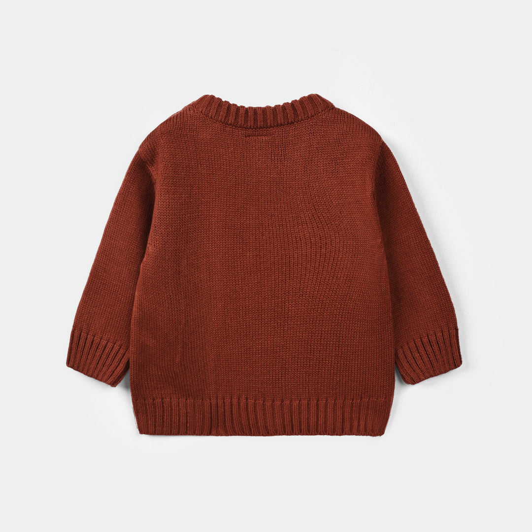 Infant Boys Acrylic Sweater-Funtastic-Reddish-brown