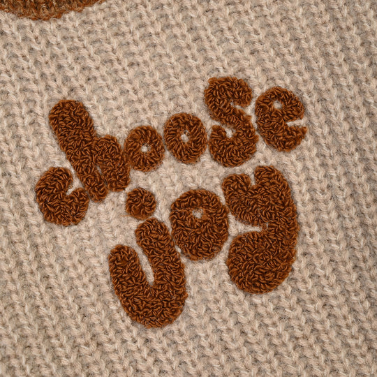 Infant Boys Feather-Acrylic Sweater-Choose Joy-Multi
