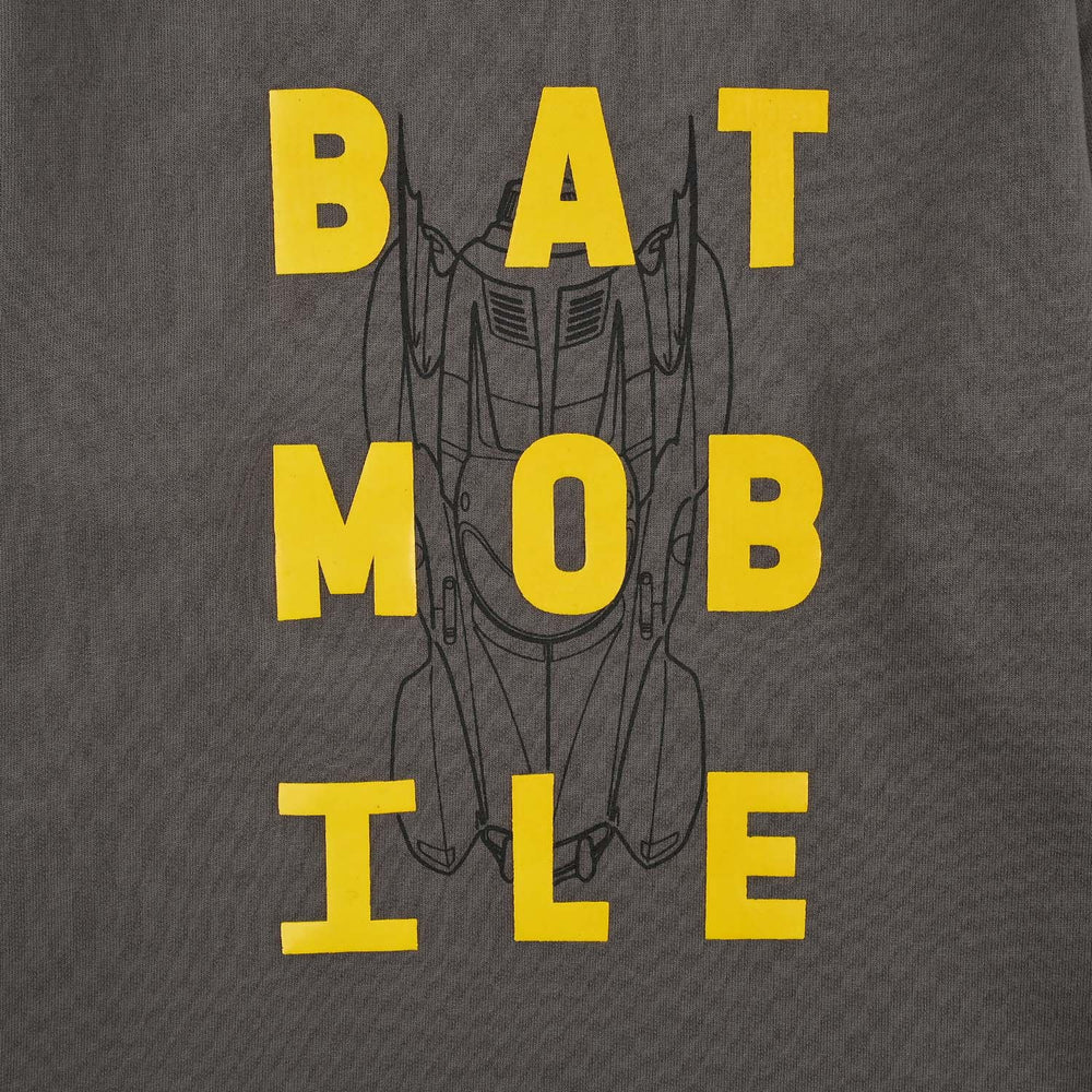Boys Cotton Terry T-Shirt Full Sleeves Character - Castlerock