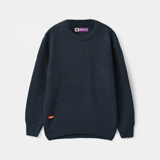 Boys Acrylic Sweater-Champion-Blue