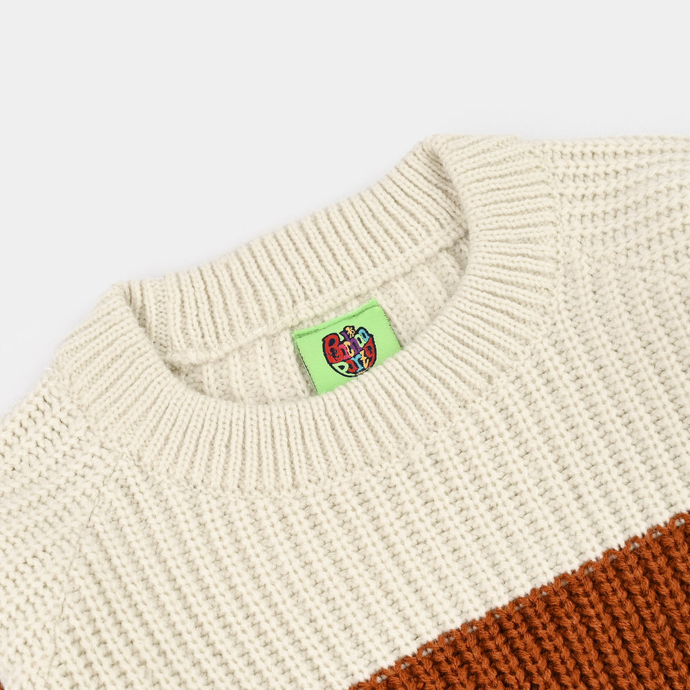 Infant Boys Acrylic Sweater-Enjoy-Multi