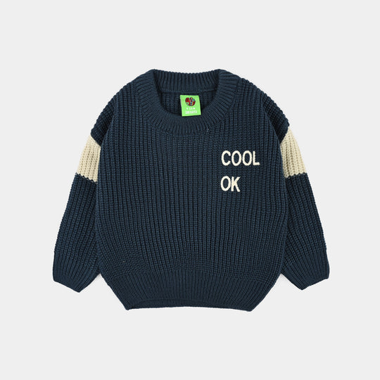 Infant Boys Acrylic Sweater-Cool Boy