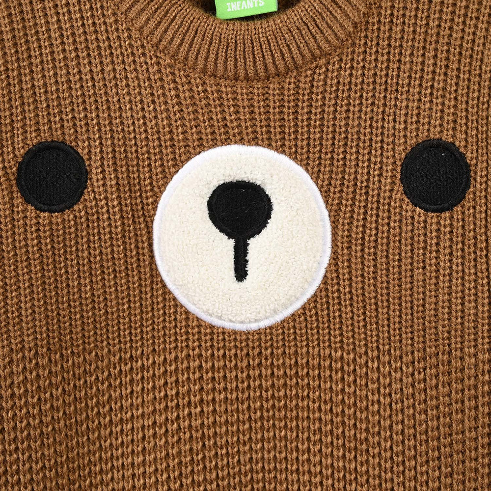 Infant Boys Acrylic Sweater-Grizzly-BROWN