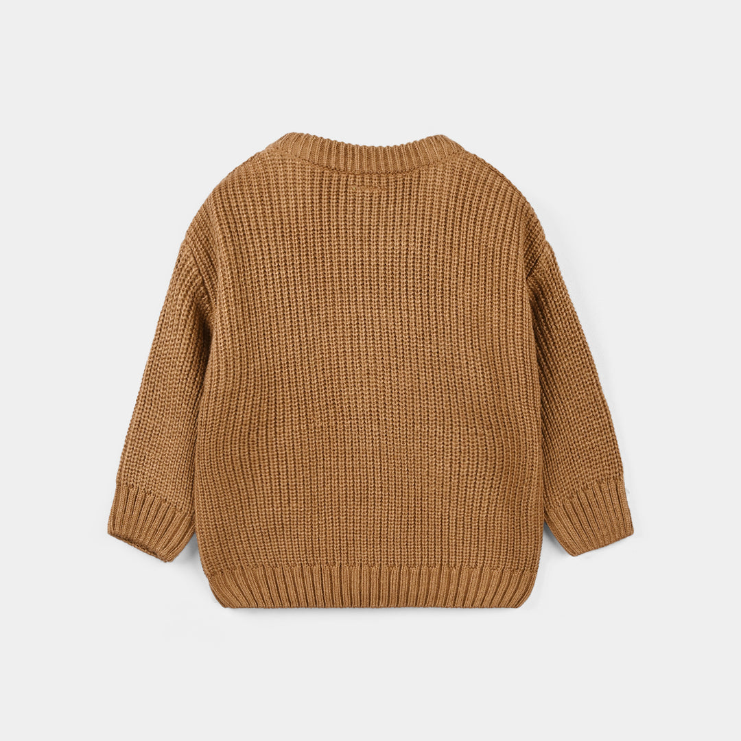 Infant Boys Acrylic Sweater-Grizzly-BROWN