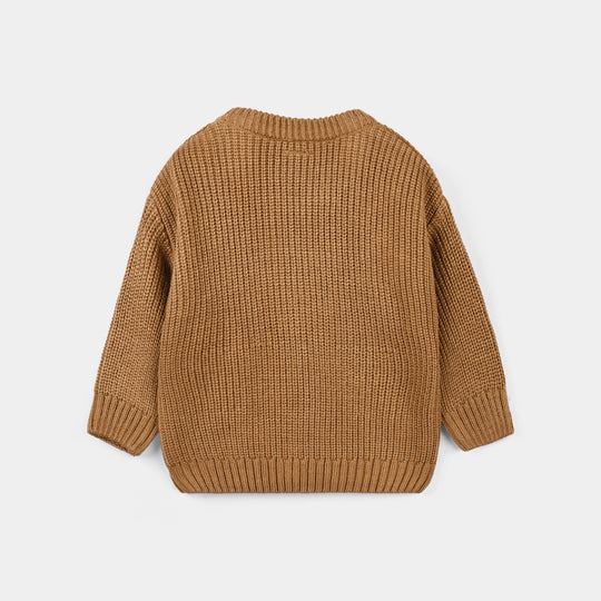Infant Boys Acrylic Sweater-Grizzly-BROWN