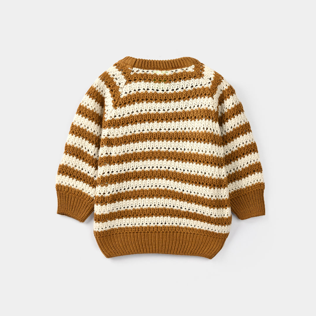 Infant Boys Acrylic Sweater-95-Brown