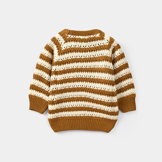 Infant Boys Acrylic Sweater-95-Brown