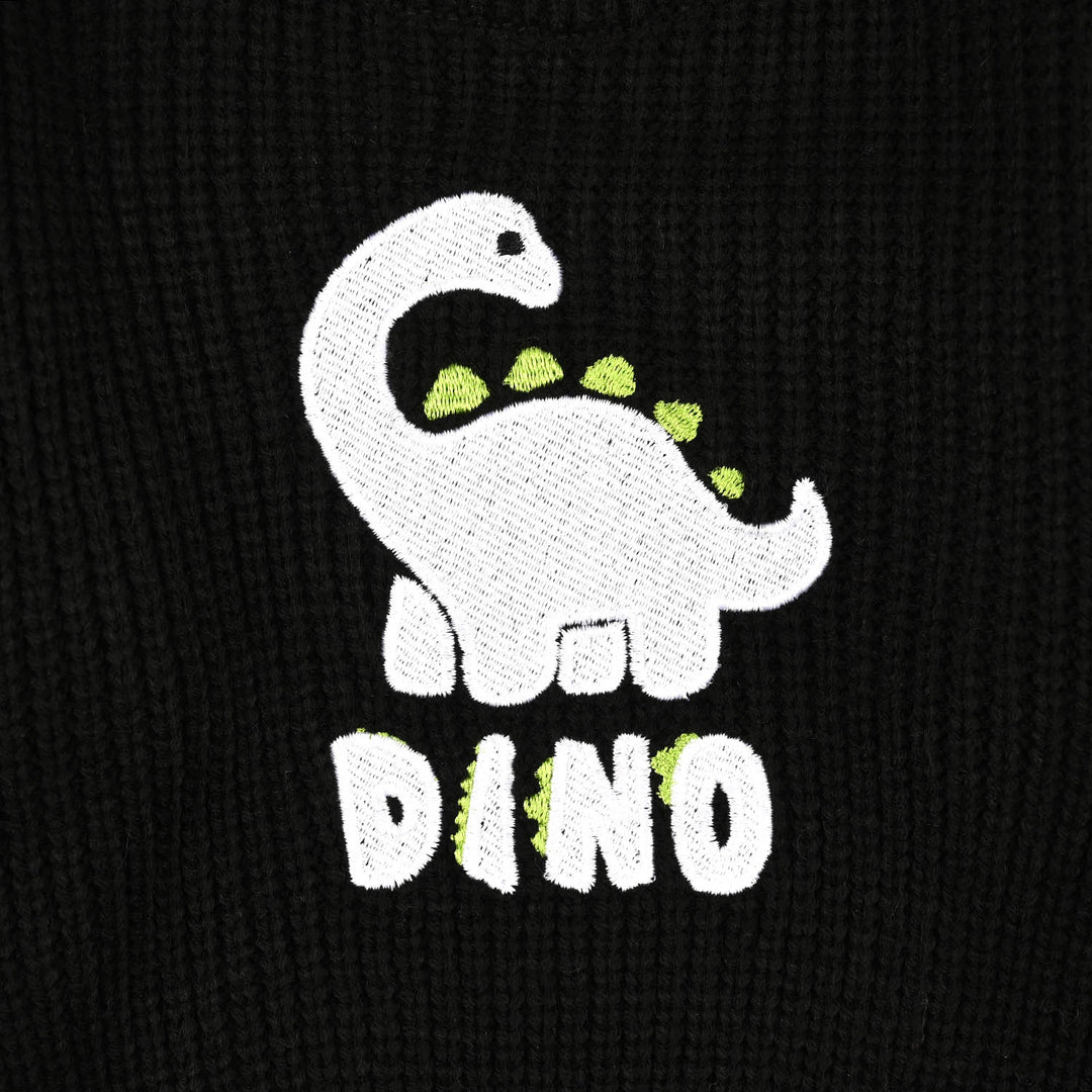 Infant Boys Acrylic Sweater-Dino Munch-BLACK