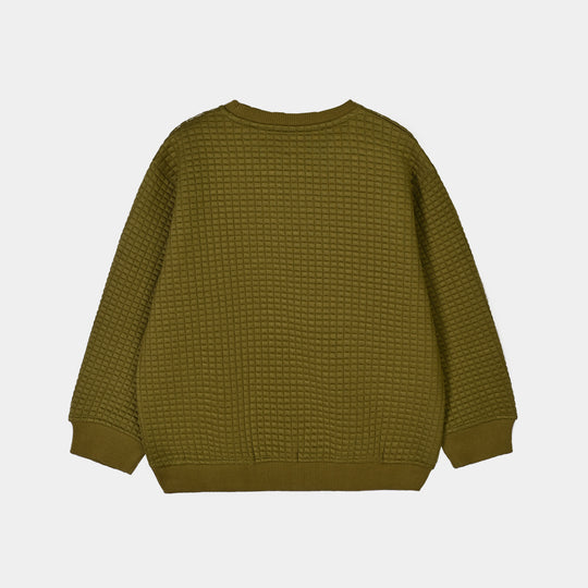 Boys Quilted Sweatshirt Adventure Begins 2-Green