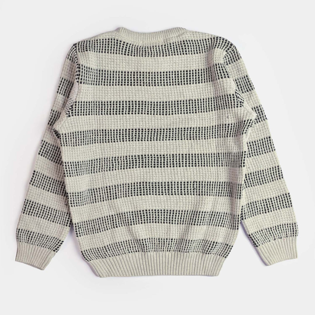 Teens Boys Cotton Sweater - Grey