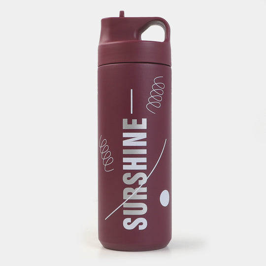 Stainless Steel Water Bottle | 500ml