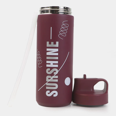 Stainless Steel Water Bottle | 500ml