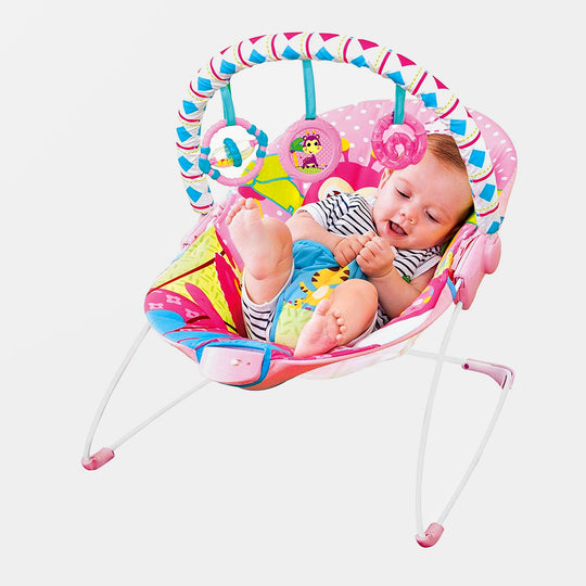Music & Vibrating Baby Bouncer