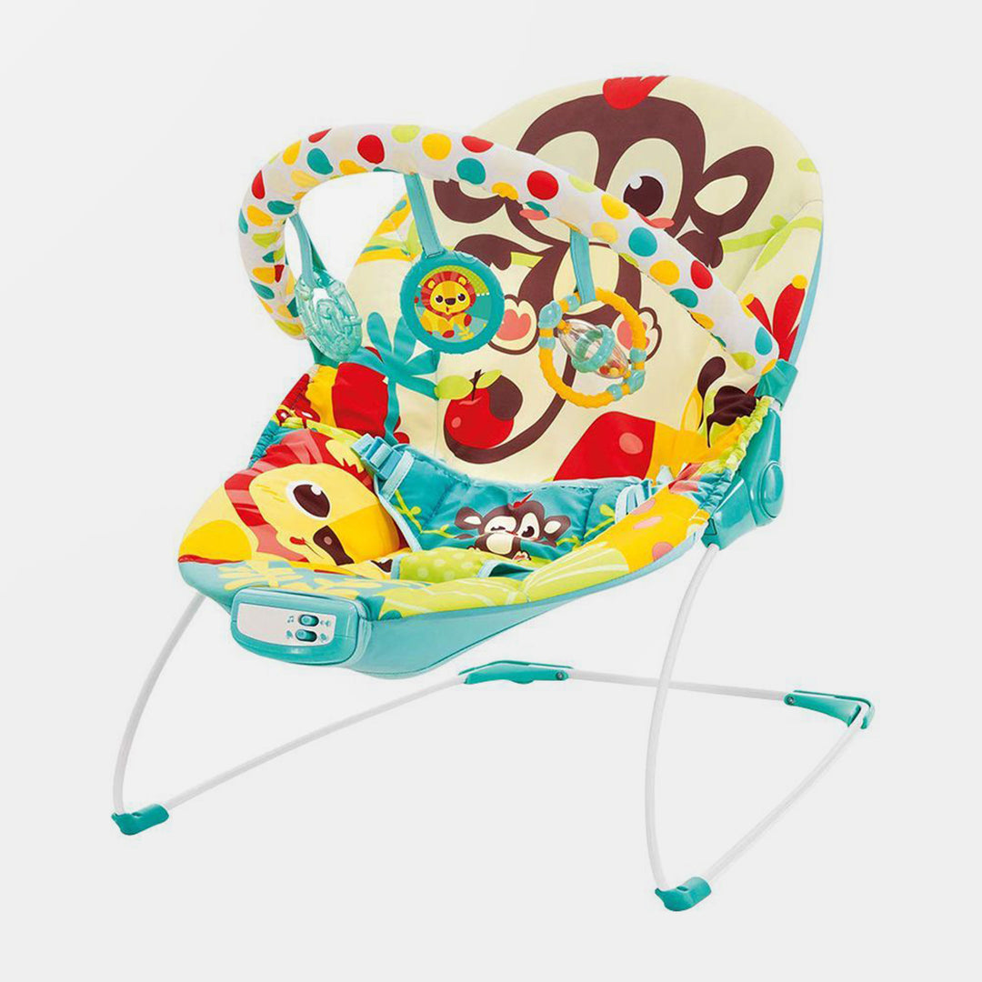 Music & Vibrating Baby Bouncer