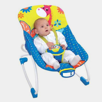 Newborn To Toddler Rocker