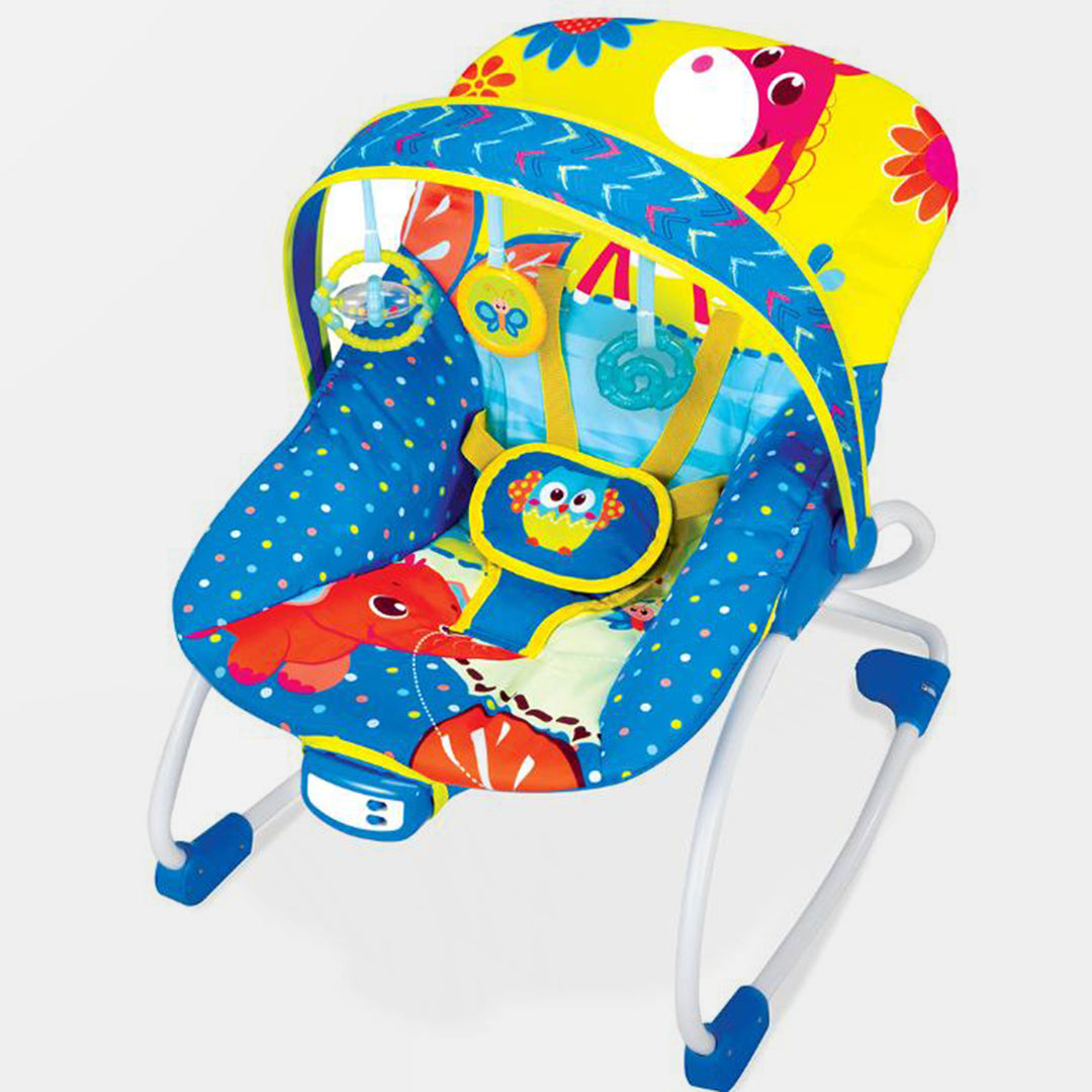 Newborn To Toddler Rocker