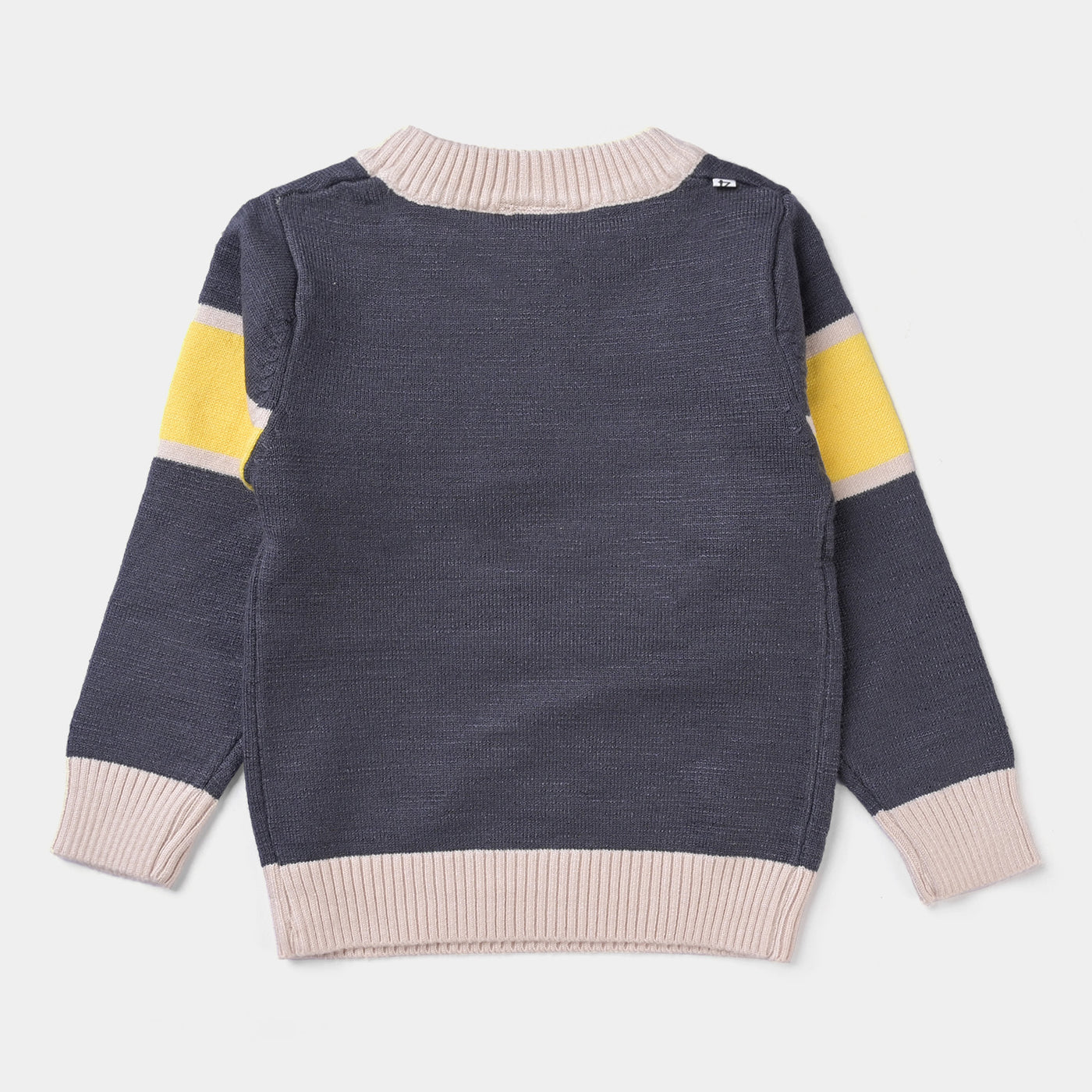 Infant Unisex Sweater