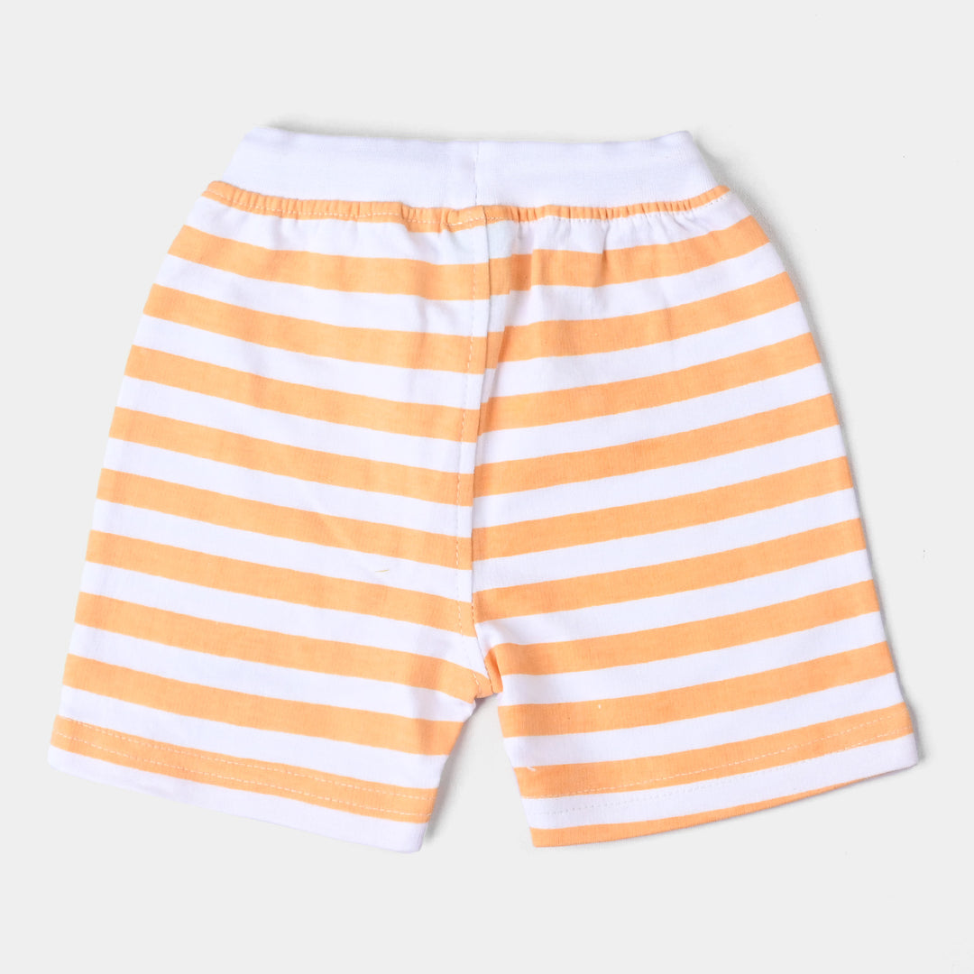 Infant Boys Cotton Terry Knitted Short Stripes-White