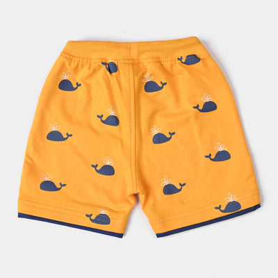Infant Boys Cotton Terry Knitted Short Whale-Citrus